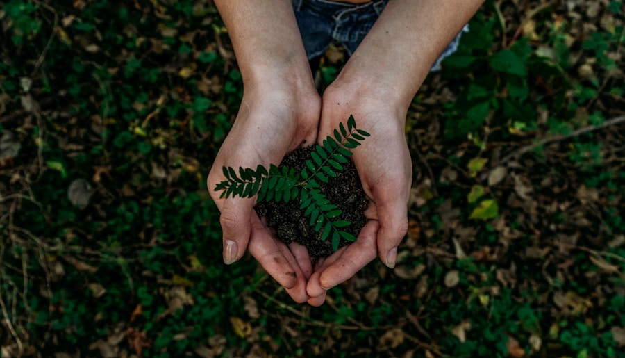 Environnement